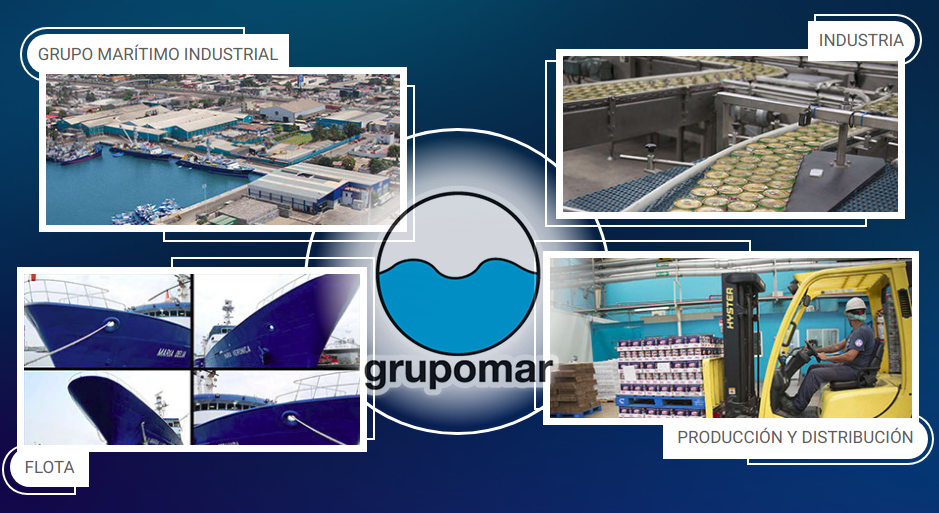 FIS - Proveedores - Detalles de Compañía